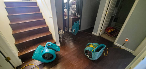 Best Water damage restoration cost  in Newcastle, WY