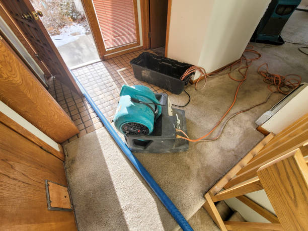Best Water damage restoration near me  in Newcastle, WY