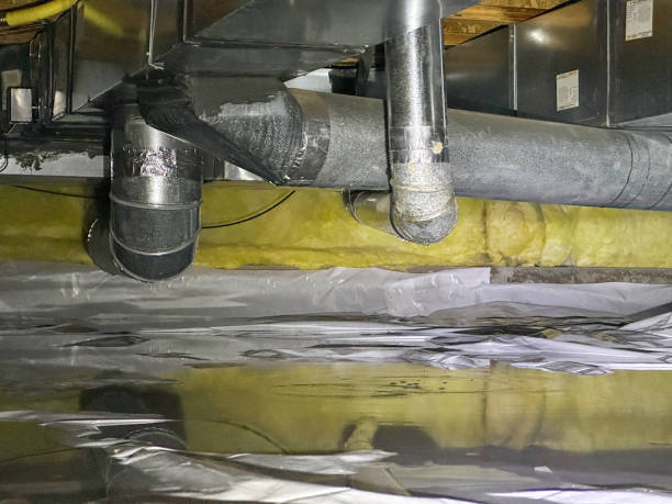 Best Professional water damage repair  in Newcastle, WY
