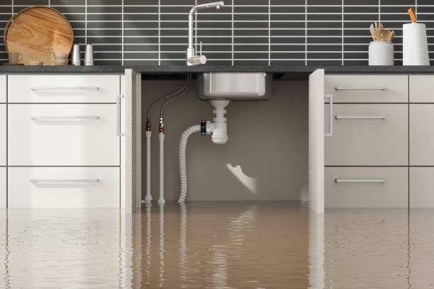 Best Ceiling water damage repair  in Newcastle, WY