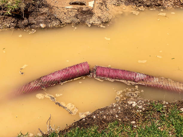 Best Mold removal after water damage  in Newcastle, WY