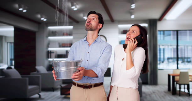 Best Sewage cleanup and water damage restoration  in Newcastle, WY