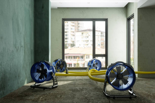 Best Carpet water damage restoration  in Newcastle, WY